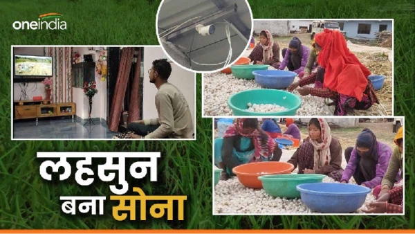 CCTV camera in garlic field