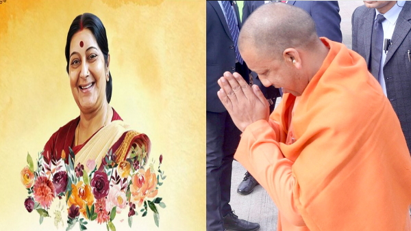 cm yogi 