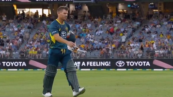david warner 
