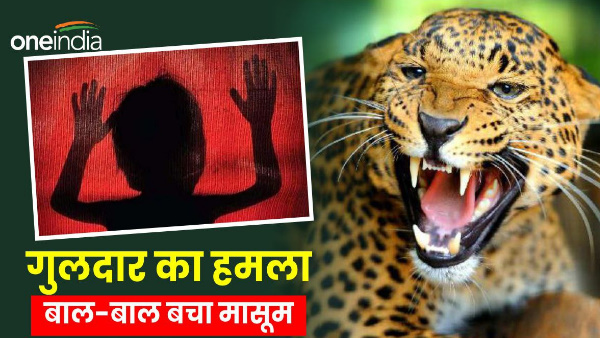 Uttarakhand news rudraprayag Guldar attacked five year old innocent child narrowly escaped injured Uttarakhand news rudraprayag Guldar attacked five year old innocent child narrowly escaped injured