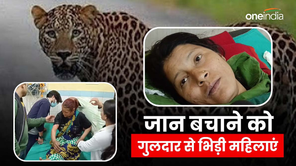 Uttarakhand news srinagar three Women clashed Guldar to save their lives gone forest collect grass, then this happened