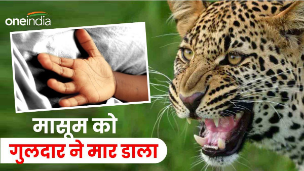 Dehradun news Guldar KILLED morsel ten year old child family snatched From mouth not survive Dehradun news Guldar KILLED morsel ten year old child family snatched From mouth not survive