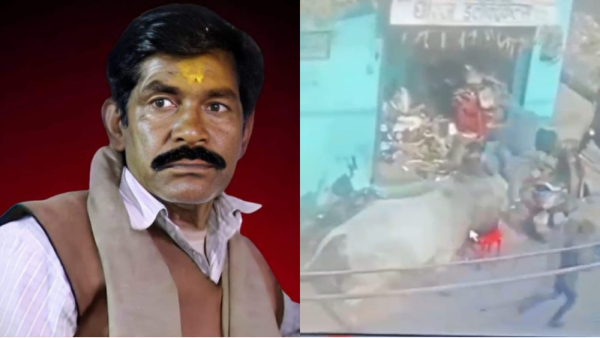 Gwalior Bull Elderly Death