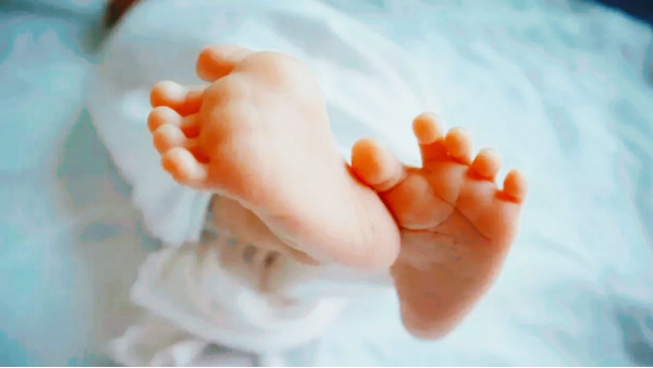 hahdol innocent burnt to death with hot rod