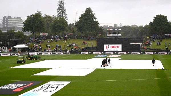 Seddon Park, Hamilton