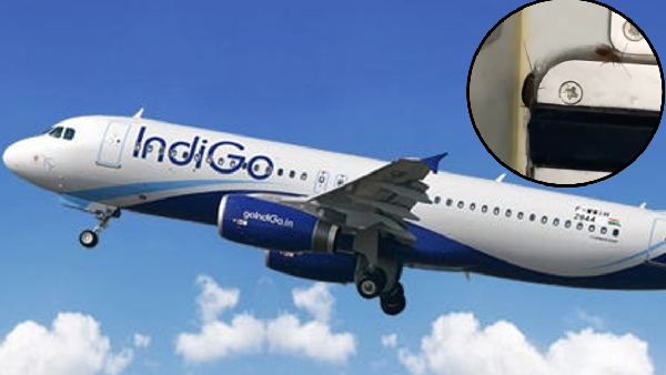 Indigo Airlines