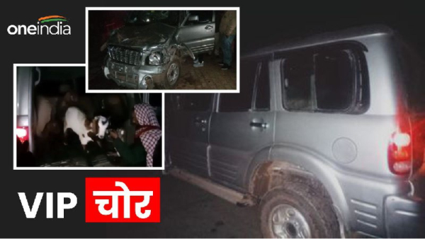 Jabalpur Scorpio Goat Thief