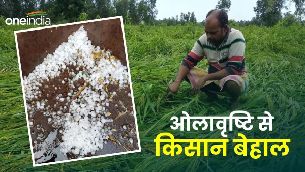 farmers-in-trouble-due-to-hailstorm-in-baran-rajasthan-weather-condition-is-continuously-worsening