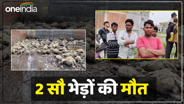 fataihpur-news-palak-jhapakate-hee-pashupaalak-ko-hua-20-laakh-ka-nukasaan