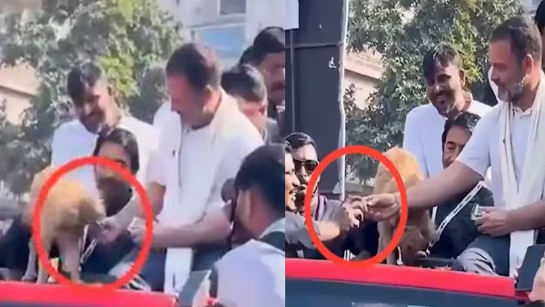 Rahul Gandhi Rahul Gandhi