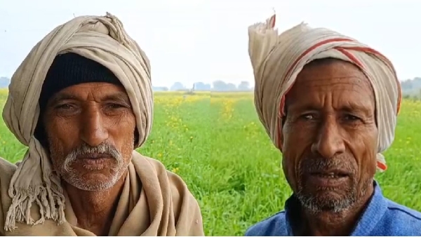 Rain and hailstorm destroy crops in Satna