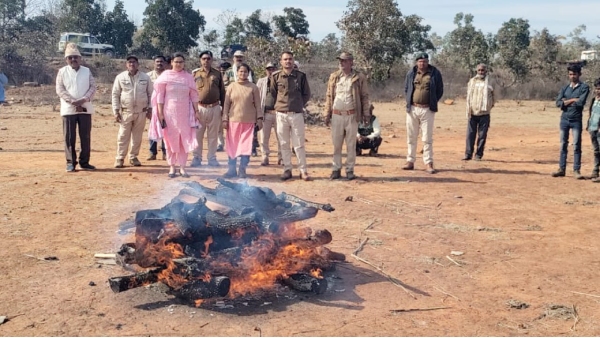 rewa leopard death