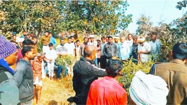 Sidhi Wild Bird Hunting 3 Death