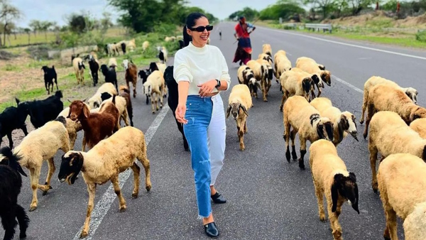 Sohani Choudhary movie Aakhir Palaayan Kab Tak