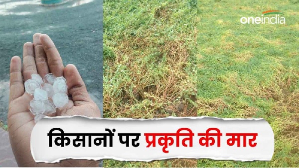 Unseasonal hail and rain in Khargone