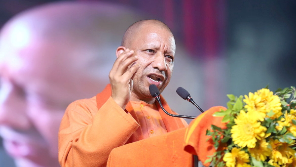 cm yogi cm yogi
