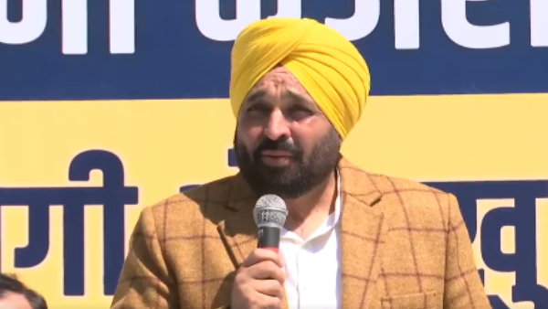 pijab cm pijab cm