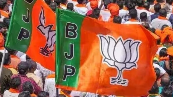 MLC election MLC election