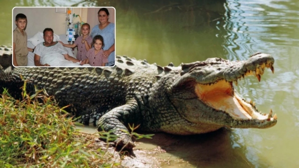 Wife rescues husband from jaws of 13-foot crocodile