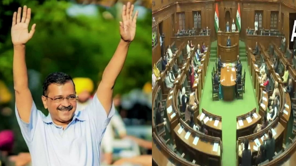 delhi delhi