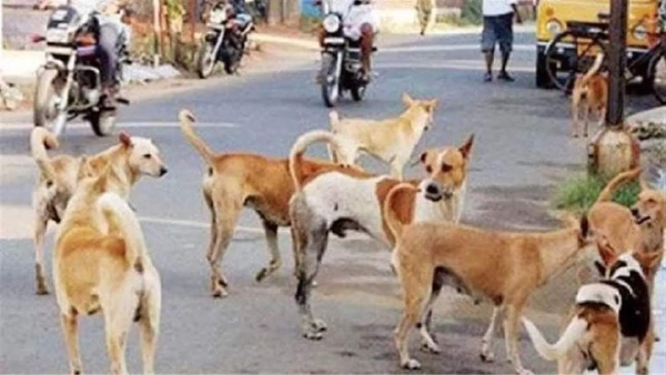 Indore