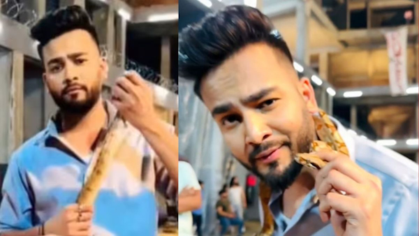 snake venom use snake venom use