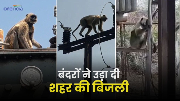 Damoh News Damoh News