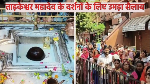 on-the-occasion-of-mahashivratri-today-there-was-a-flood-of-devotion-in-the-shiva-temples-including on-the-occasion-of-mahashivratri-today-there-was-a-flood-of-devotion-in-the-shiva-temples-including