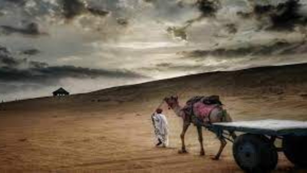 meteorological-departments-alert-in-rajasthan-temperature-will-increase-in-next-7-days