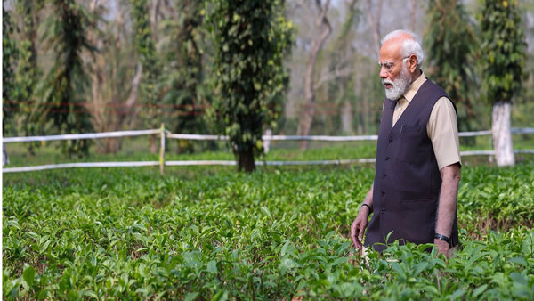 PM Modi in tea gardens Assam