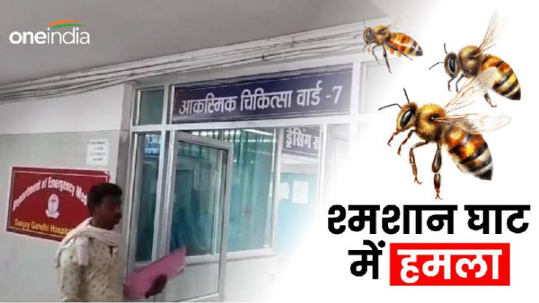 Rewa bee attack cremation ground Rewa bee attack cremation ground