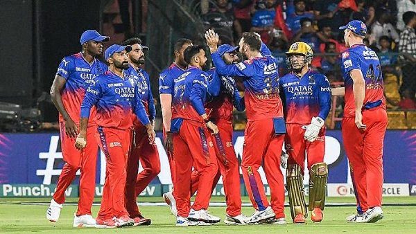 royal challengers bengaluru