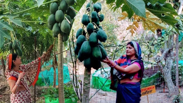 rajasthan Mahila kisan
