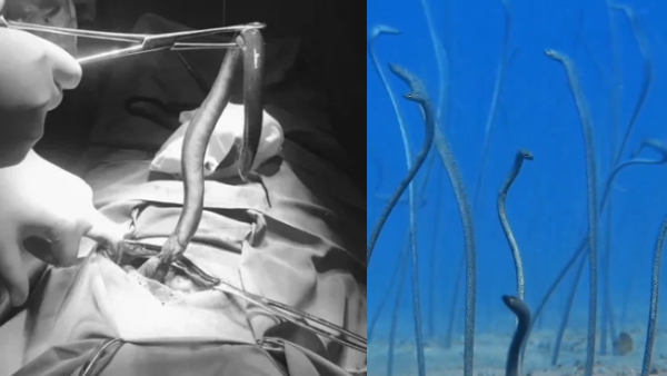 World News World News