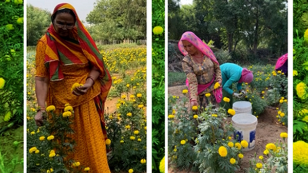 rajasthan Mahila kisan