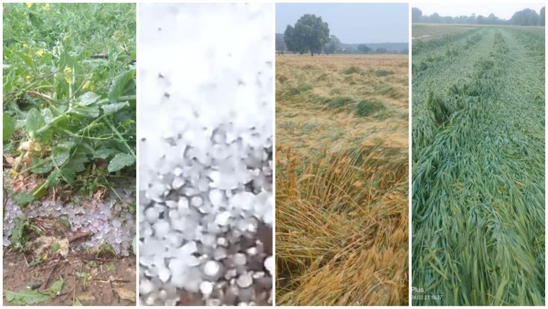 Heavy rain and hailstorm accompanied by storm farmers upset due to crop damage blocked the road