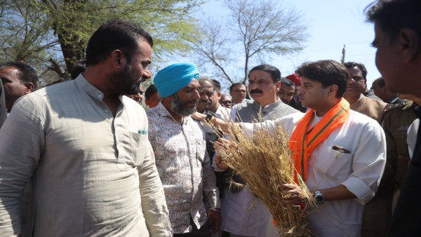 Jyotiraditya Scindia distributing compensation amount among farmers in Guna Shivpuri Ashoknagar