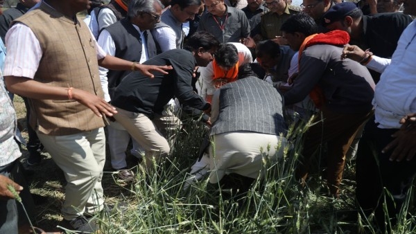 Jyotiraditya Scindia distributing compensation amount among farmers in Guna Shivpuri Ashoknagar
