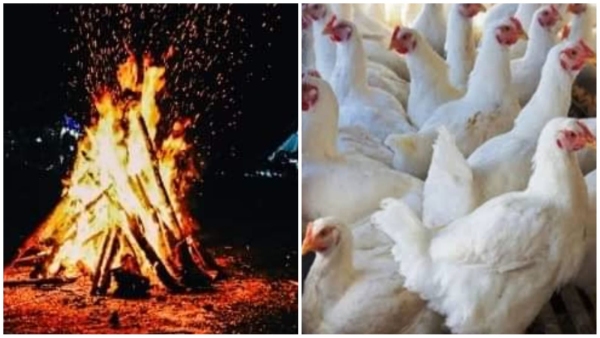 Meat shops will remain closed for three days in April due to Hindu festivals wood for Holika Dahan