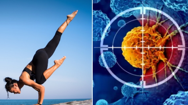 World Health day 2024 World Health day 2024