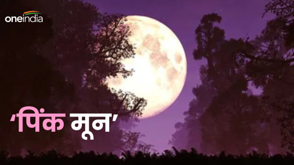 Pink Moon 2024
