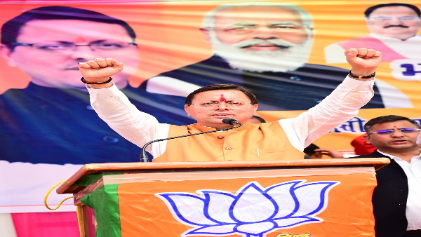 cm dhami