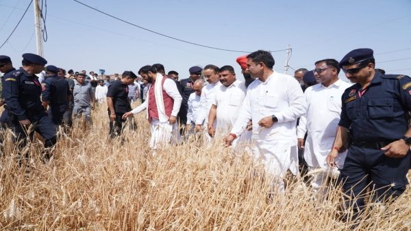 cm saini