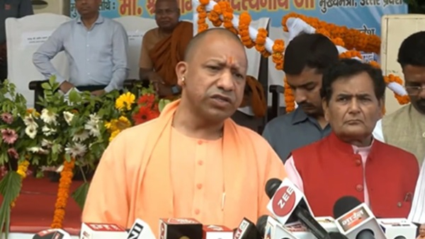 yogi