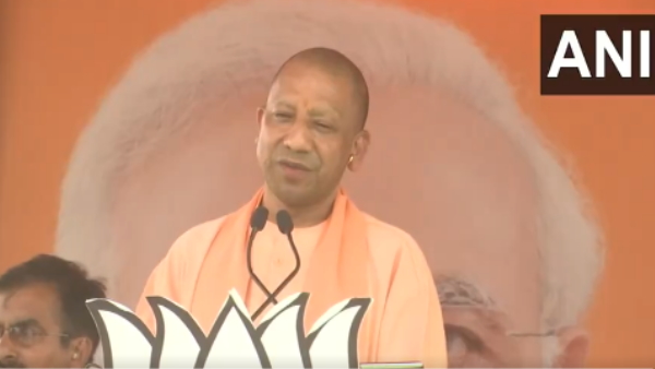 cm yogi cm yogi
