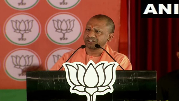 cm yogi cm yogi