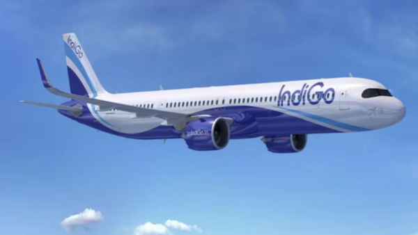 Indigo Indigo