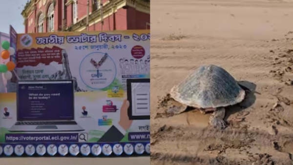 ECI Mascot Cooch Behar Extinct Turtle