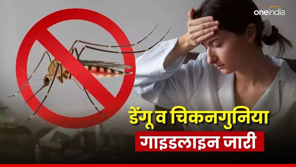 alert regarding dengue chikungunya health department issued guidelines of important points