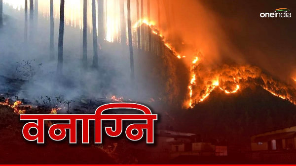 forest fire incidents Mountain burning smoldering shocked see figures fire incidents 5 months